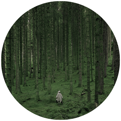 Reiki w służbie Ziemi- kurs