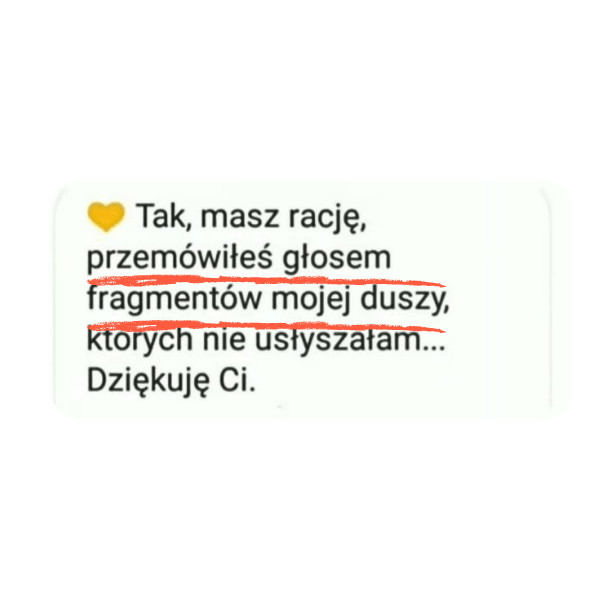 opinie Kamil Daniel 4